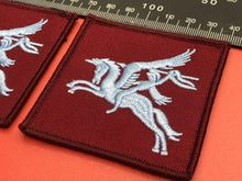 Load image into Gallery viewer, British Army Parachute Regiment Pegasus Badge Pair
