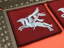 Load image into Gallery viewer, British Army Parachute Regiment Pegasus Badge Pair
