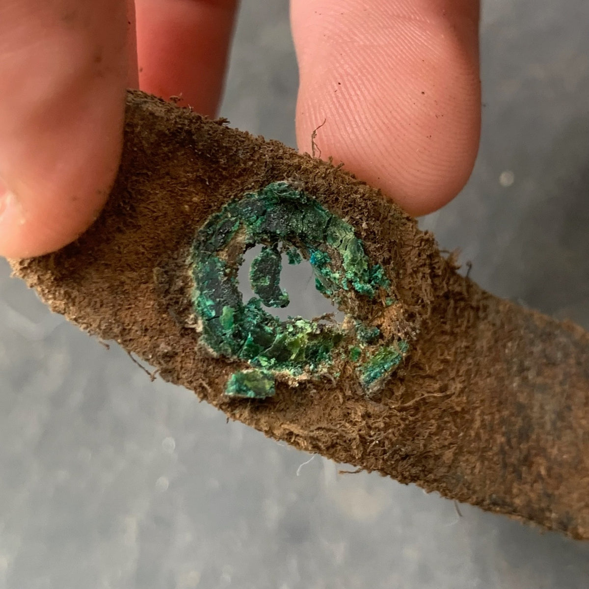 Image #8
