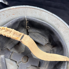 Charger l'image dans la galerie, Image #13
