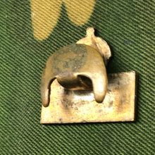 Charger l'image dans la galerie, Image #5
