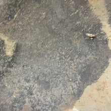 Charger l'image dans la galerie, Image #16
