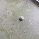 Image #9