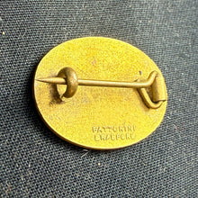 Lade das Bild in den Galerie-Viewer, Image #6
