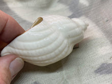 Load image into Gallery viewer, Original Vintage Crested China Ware Sea Shell - Ryde - Isle of Wight
