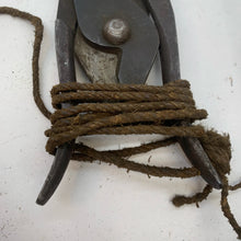 Charger l'image dans la galerie, Image #5
