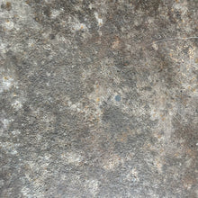 Load image into Gallery viewer, Image #12

