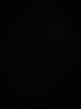 Charger l'image dans la galerie, Image #19
