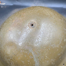 Load image into Gallery viewer, Image #8
