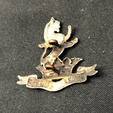 Charger l'image dans la galerie, Image #5
