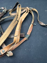 Charger l'image dans la galerie, Image #15
