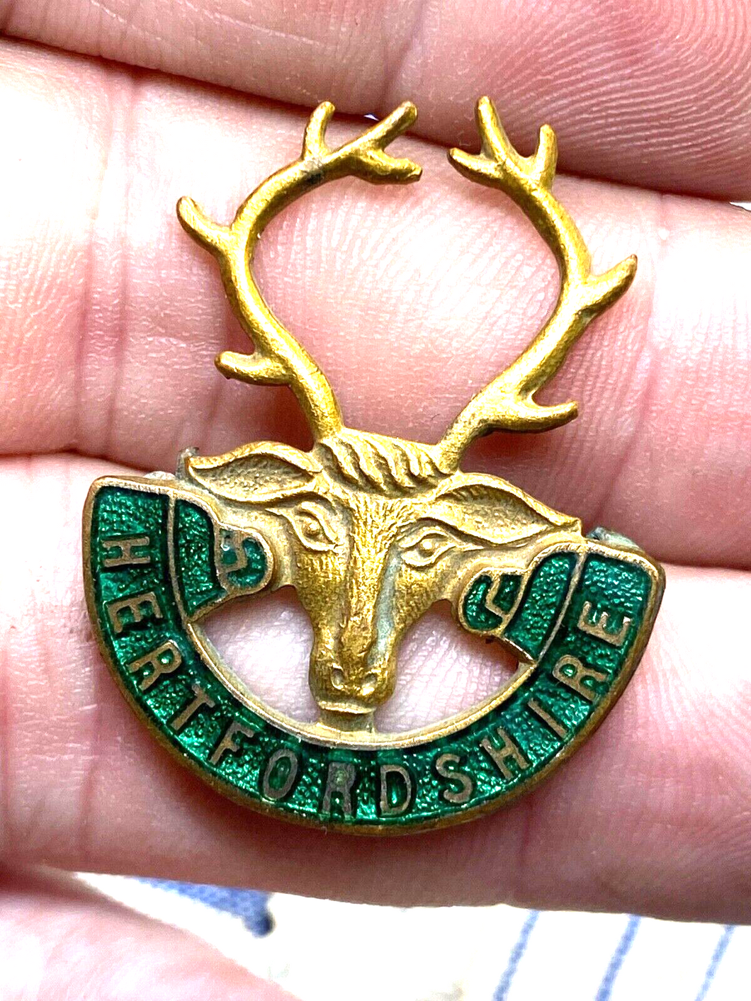 Original WW2 Hertfordshire Women's Institute Enamel & Gilt Badge