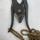 Image #11
