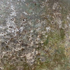 Image #9