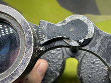 Charger l'image dans la galerie, Image #6
