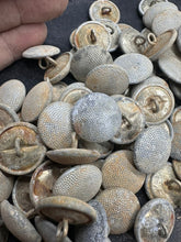 Charger l'image dans la galerie, Image #9
