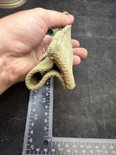 Load image into Gallery viewer, Image #7
