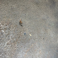 Load image into Gallery viewer, Image #12
