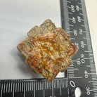 Image #5