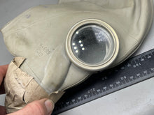 Charger l'image dans la galerie, Image #7
