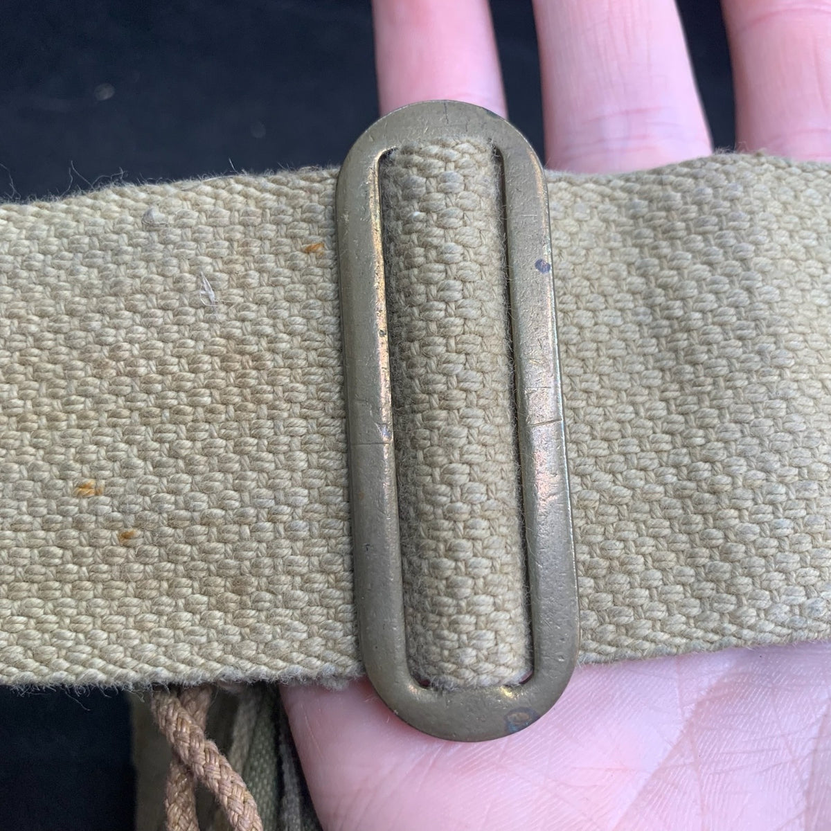 Image #11