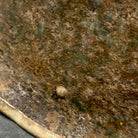 Image #7