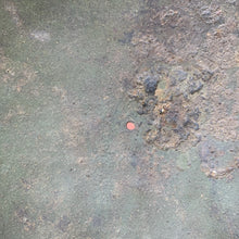 Load image into Gallery viewer, Image #14
