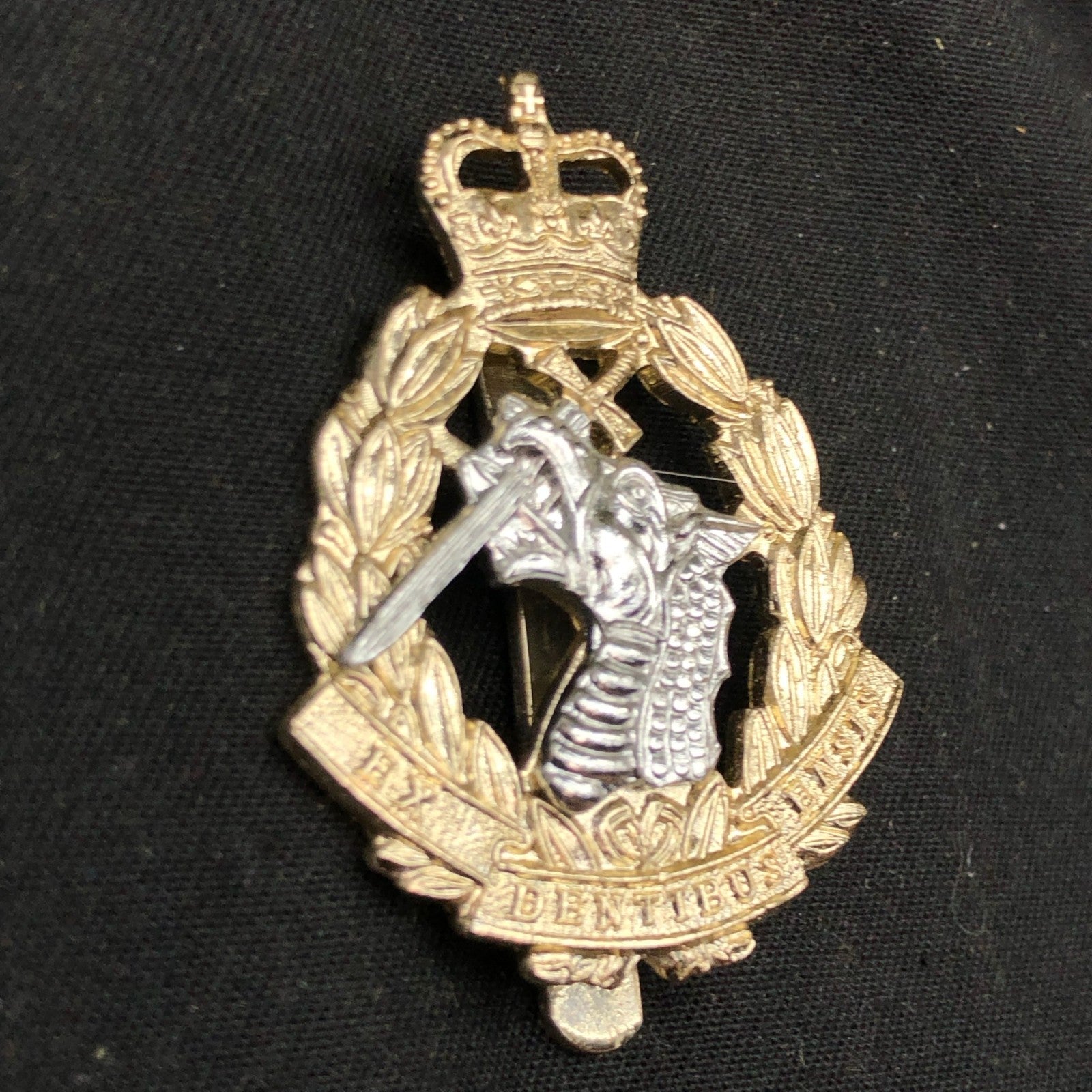 Genuine British Army Cap Badge - Royal Army Dental Corps - The Militaria Shop