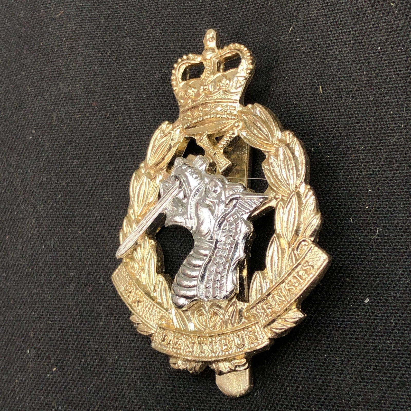 Genuine British Army Cap Badge - Royal Army Dental Corps - The Militaria Shop