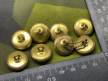 Lade das Bild in den Galerie-Viewer, Image #5
