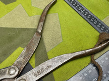 Charger l'image dans la galerie, Image #3
