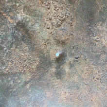 Charger l'image dans la galerie, Image #13
