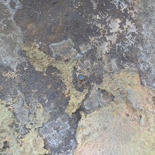 Load image into Gallery viewer, Image #14
