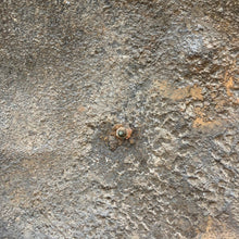 Charger l'image dans la galerie, Image #13
