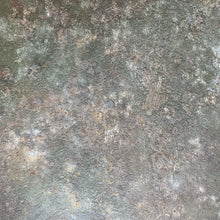 Load image into Gallery viewer, Image #12
