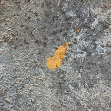 Load image into Gallery viewer, Image #14

