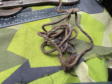 Charger l'image dans la galerie, Image #6
