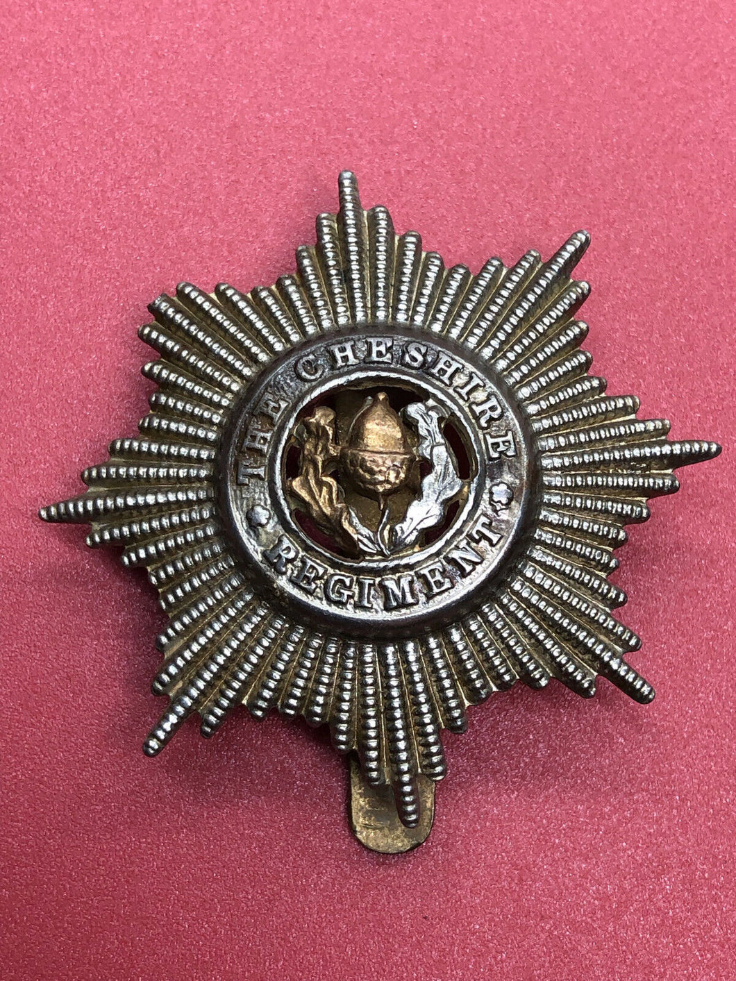 Genuine British Army Cheshire Regiment Cap Badge