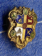 Charger l&#39;image dans la galerie, Interesting Heraldic / Masonic Gilt Lapel Badge with Intricate Enamelling
