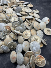 Charger l'image dans la galerie, Image #12
