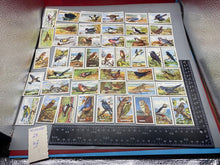 Load image into Gallery viewer, A Group of Gallagher Ltd Cigarette Cards - British Birds
