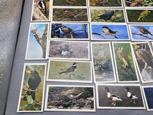 Lade das Bild in den Galerie-Viewer, A Group of Craven Cigarette Cards - British Birds
