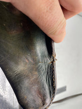 Charger l'image dans la galerie, Image #5
