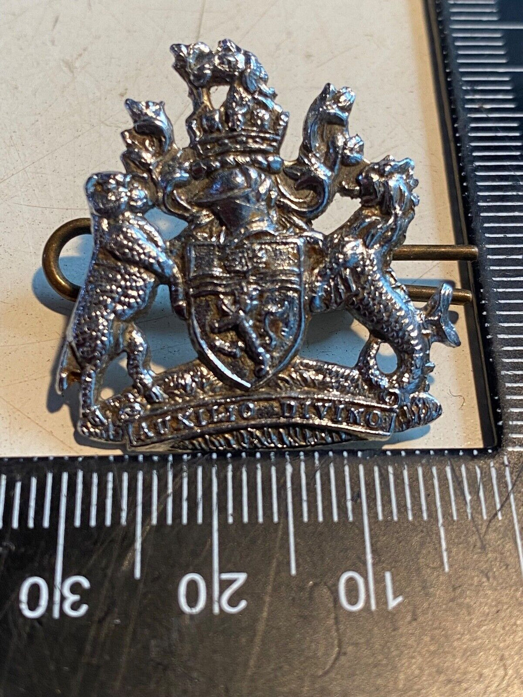 Original Vintage Devon & Exeter Joint Constabulary Cap / Collar Badge