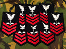 Genuine US Navy Anti-Submarine Warfare Patch / Badge - The Militaria Shop