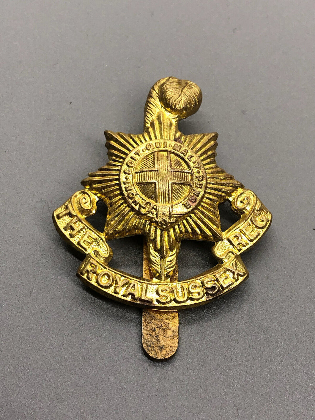 Genuine British Army The Royal Sussex Regiment Cap Badge