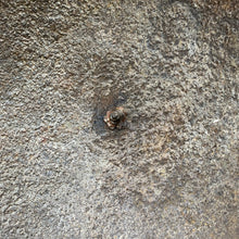 Load image into Gallery viewer, Image #13
