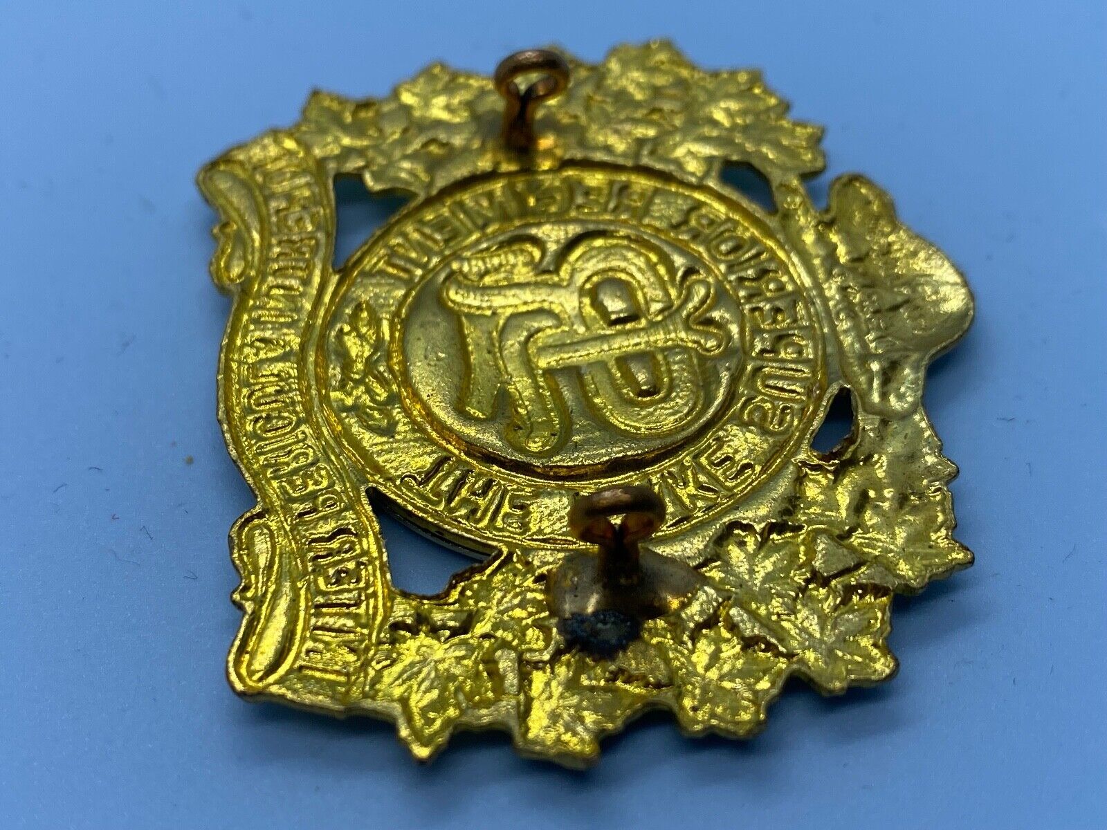 Original Canadian Army The Lake Superior Regiment Cap Badge - The Militaria Shop