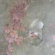 Load image into Gallery viewer, Image #17
