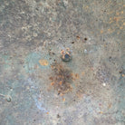 Image #12